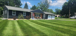 Blue ranch house with striped lawn leading to landscape bed on sunny day. Green, purple and yellow shrubs in front of home.