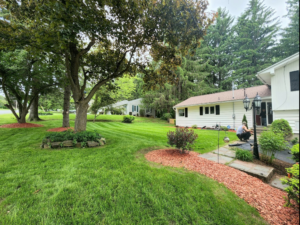 Landscaper talking to client while planting shrub on sunny day. Landscape bed with red mulch and green grass.